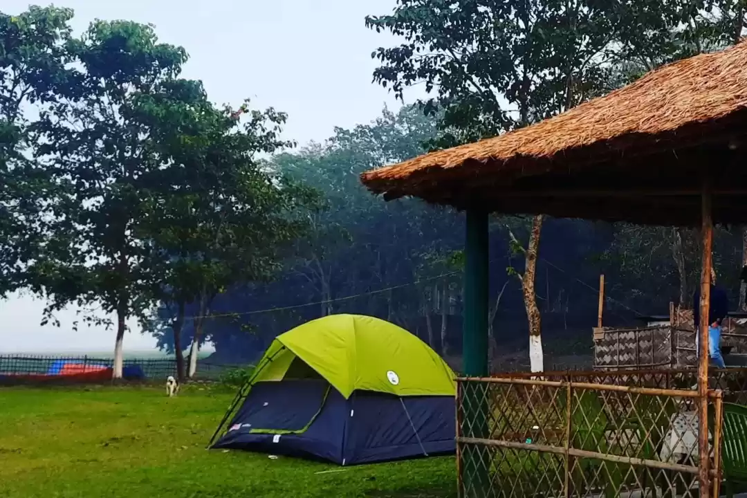 Photo of Discover the Untamed