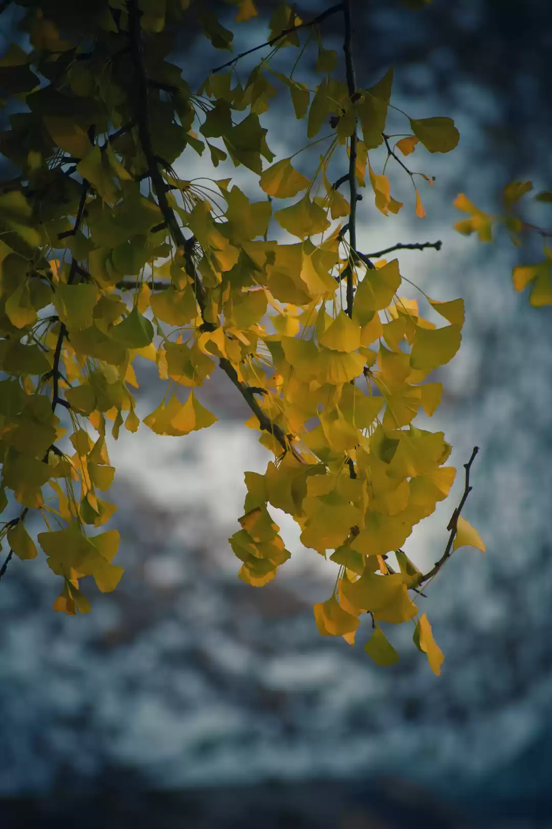 Photo of Discover the Enchant