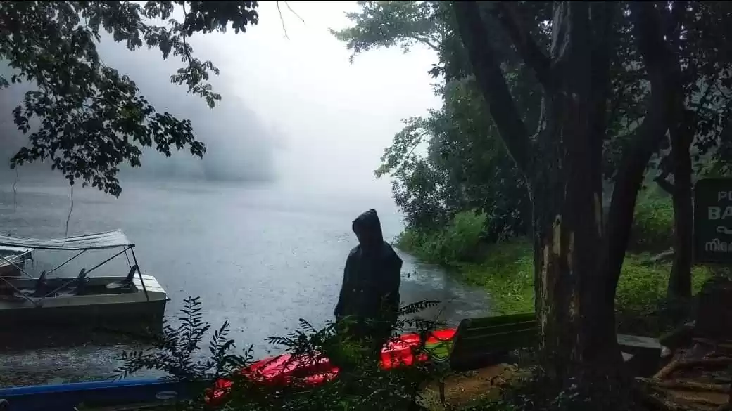 Photo of Wayanad's top 6 tou