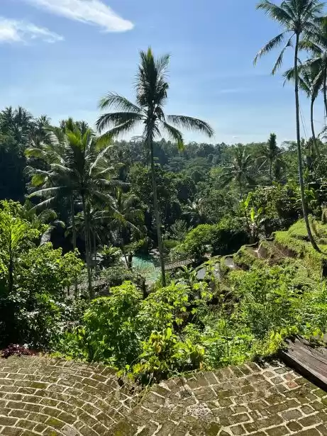 Photo of Adventures in Bali,