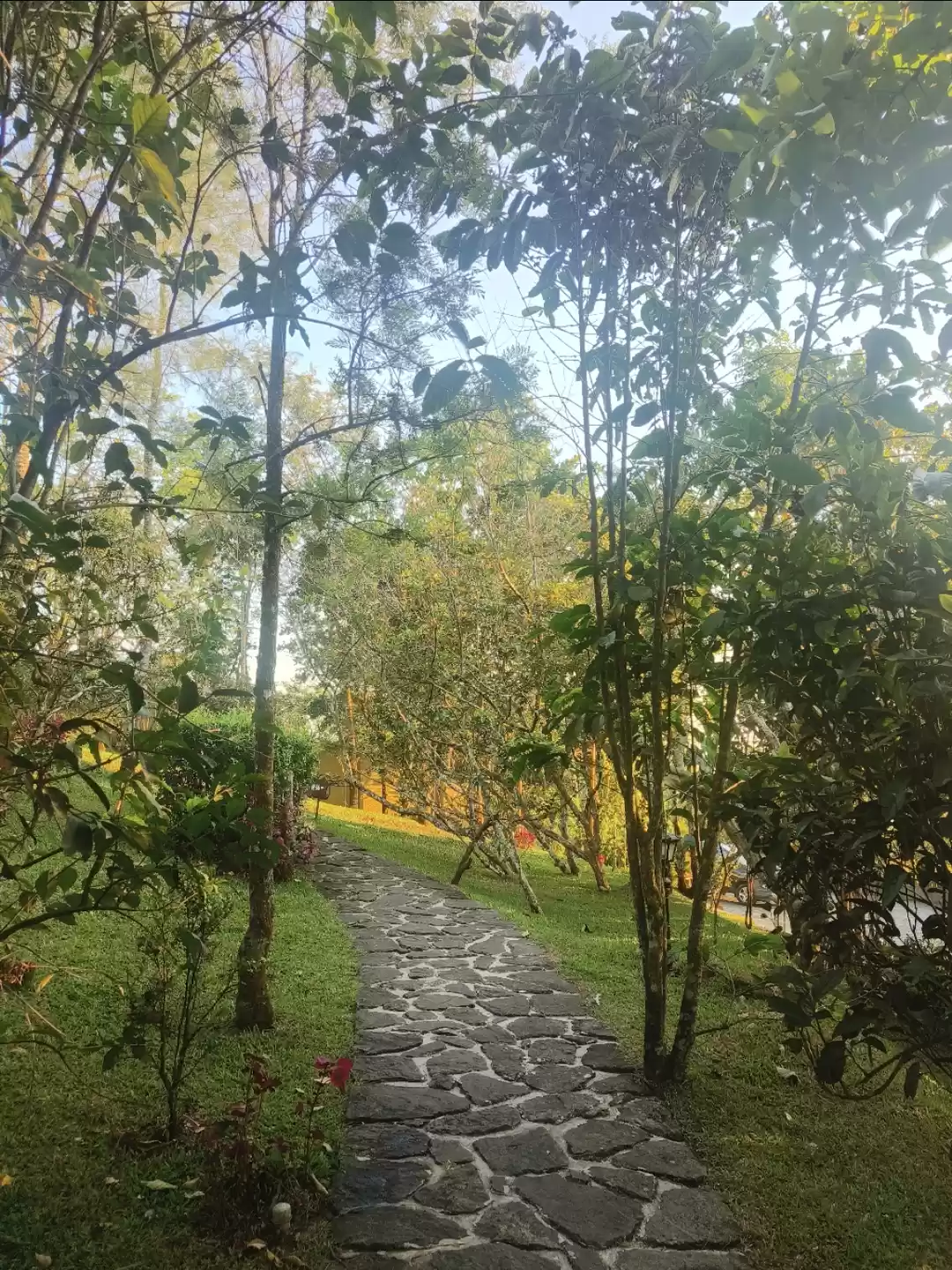 Photo of Thekkady - Beautiful