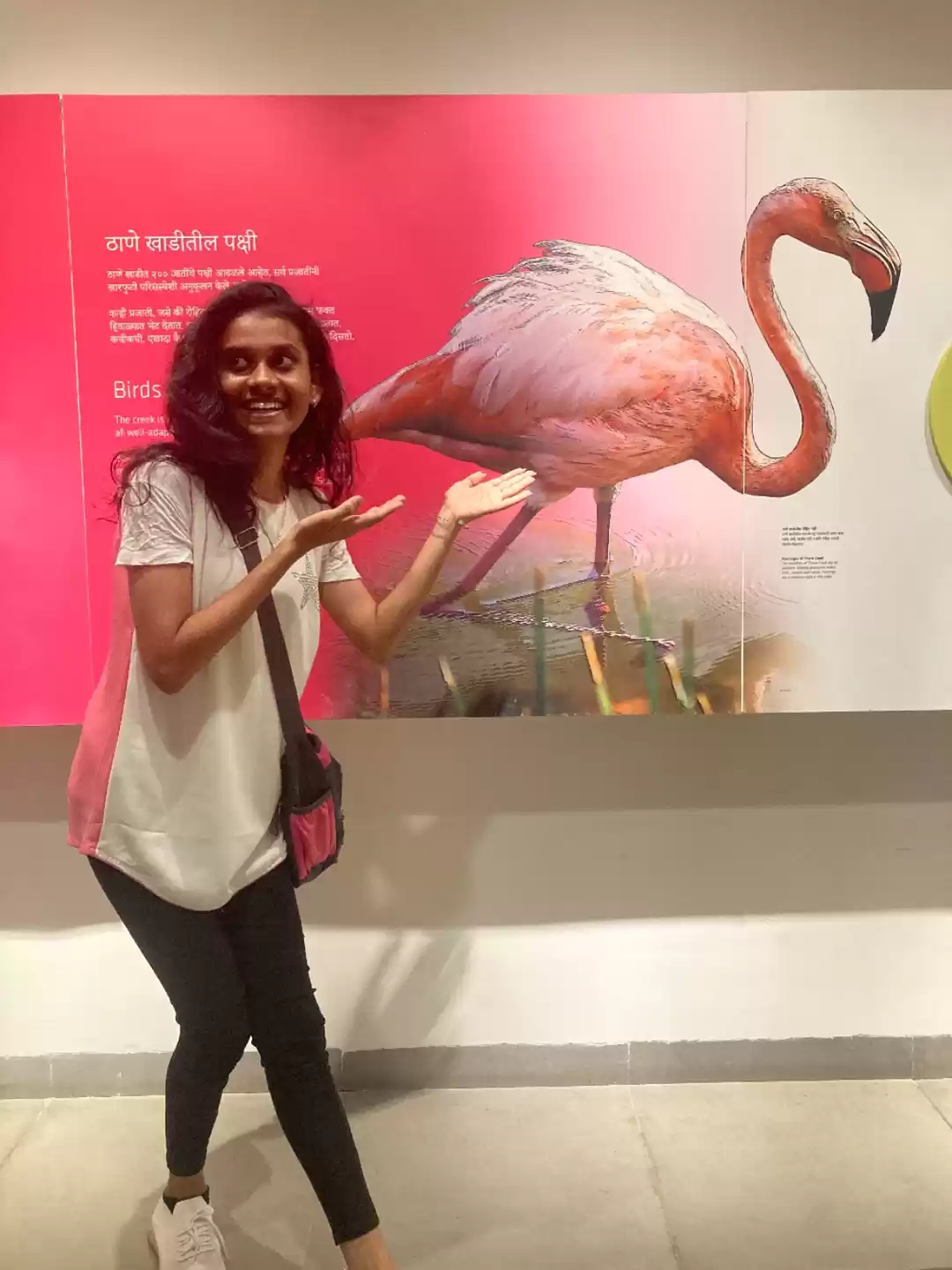 Photo of Flamingo bird watchi