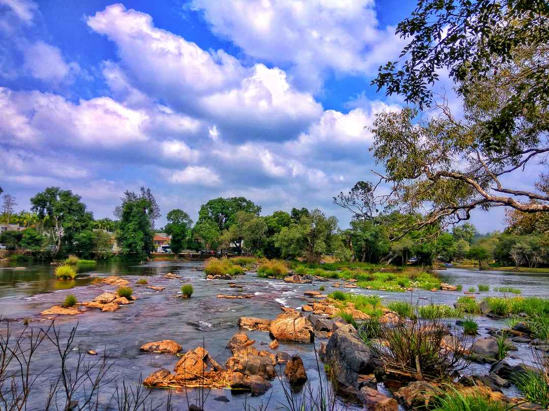 Coorg Scotland Of South India Tripoto Some of the popular tourist attractions in coorg bylakuppe, one of the largest tibetan settlements in south india. coorg scotland of south india tripoto