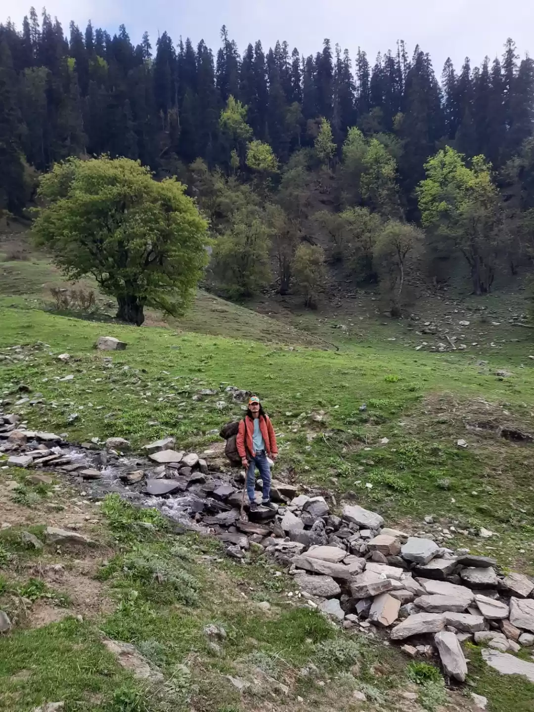 Photo of Bunbuni trek in Parv