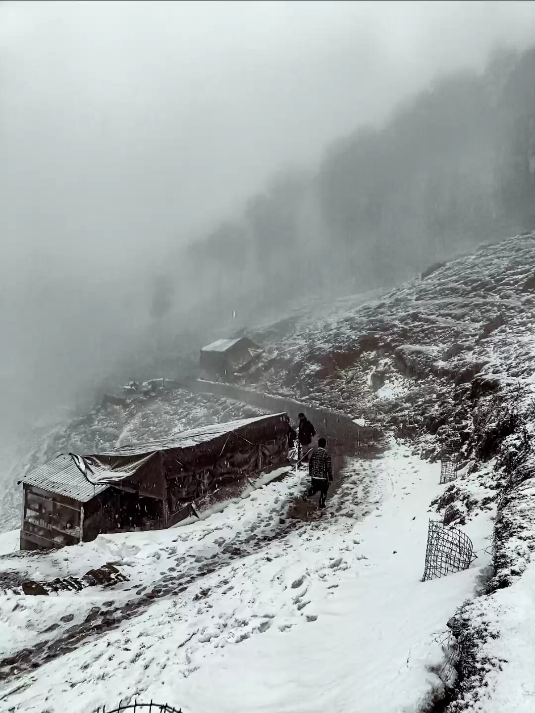 Photo of Sojha in Feb.