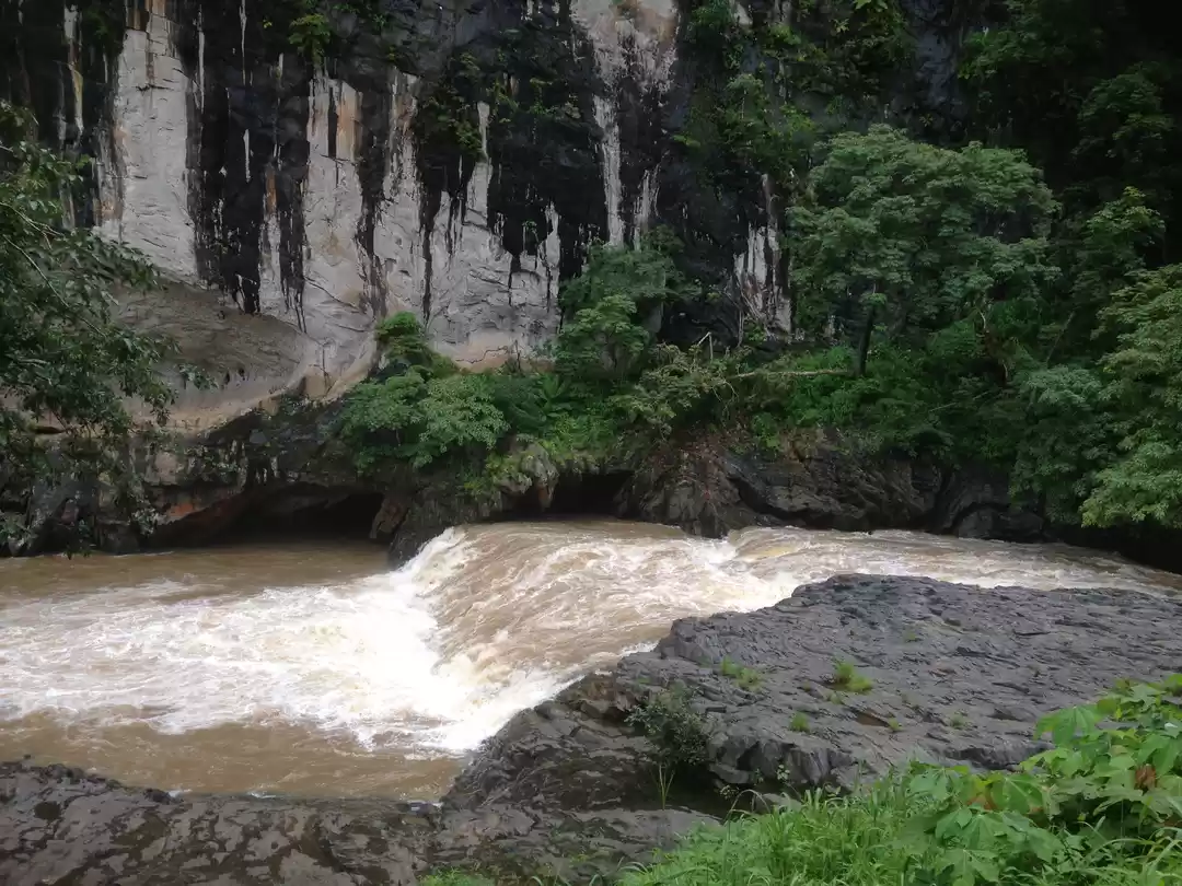 Photo of Dandeli - A walk wit