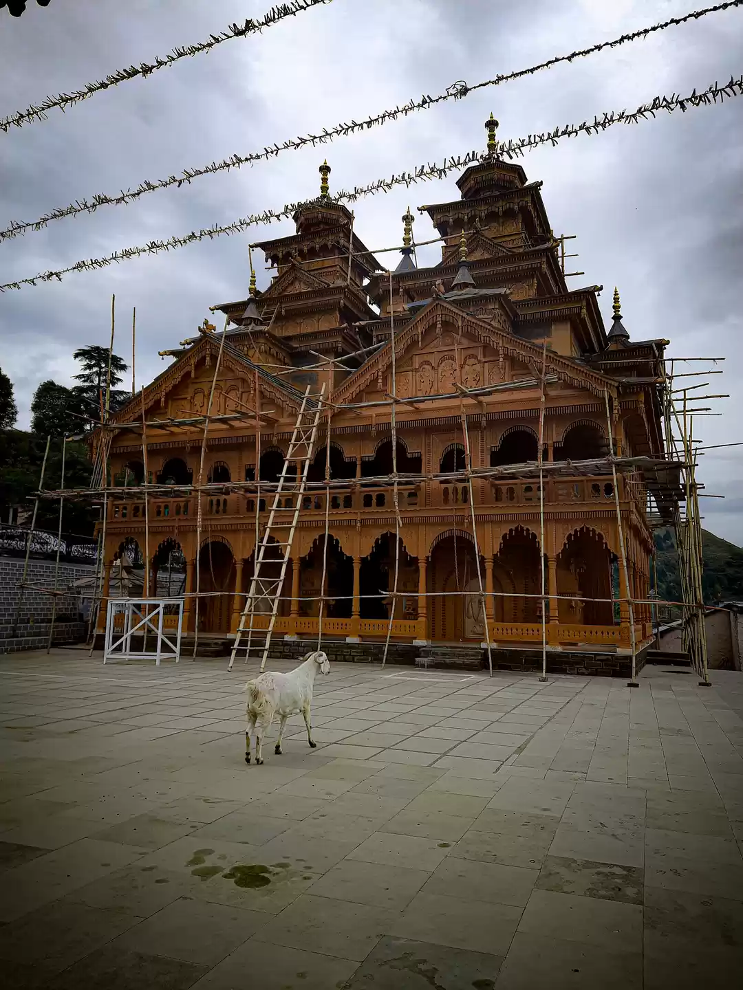 Photo of Mahasu devta( Bisoi)