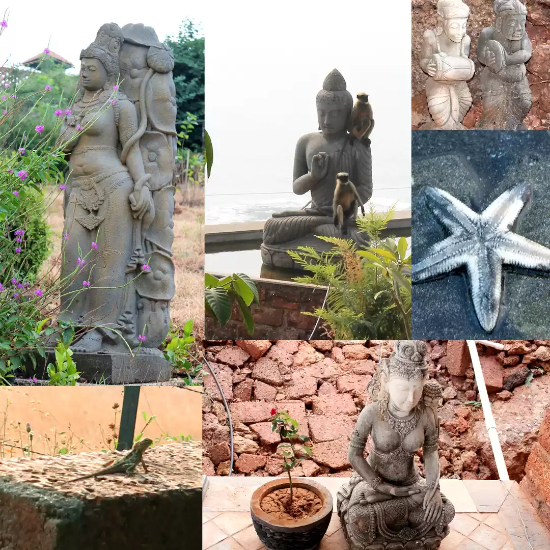 Photo of Harnai-Dapoli On Whe