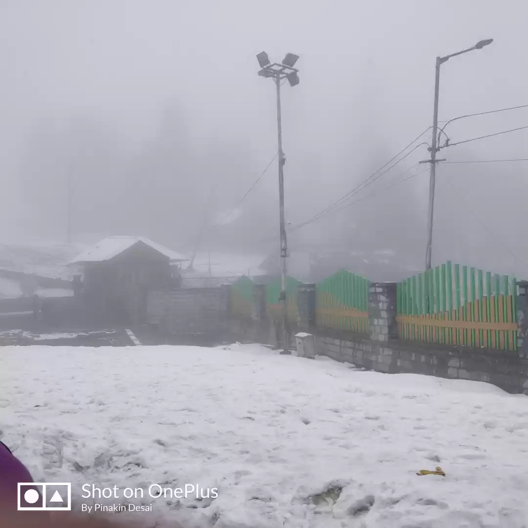 Photo of Amazing Trip