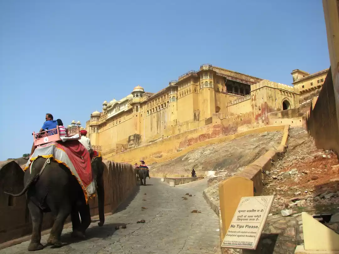 Photo of Alluring Jaipur