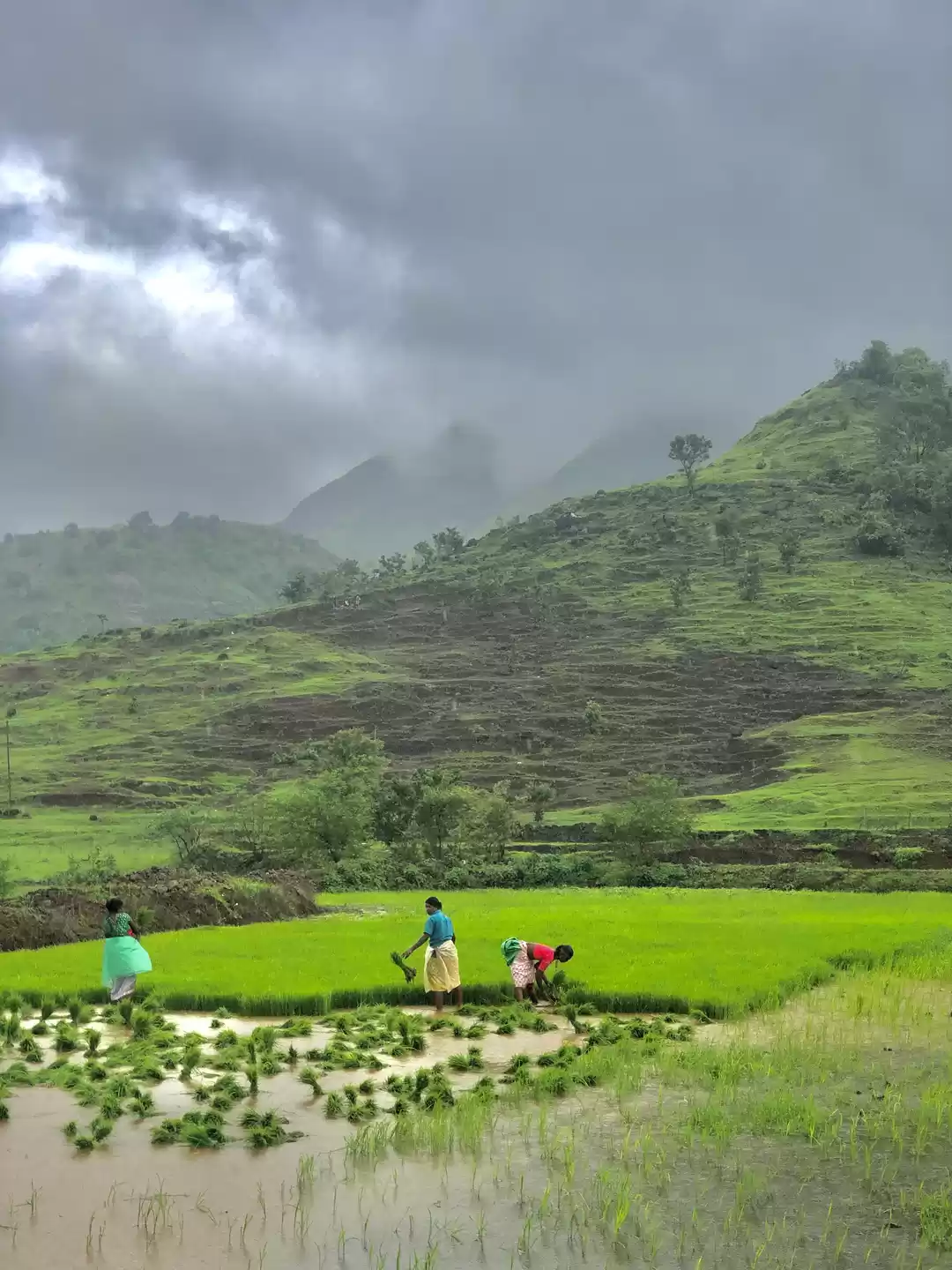 Photo of Bhivpuri scenic view