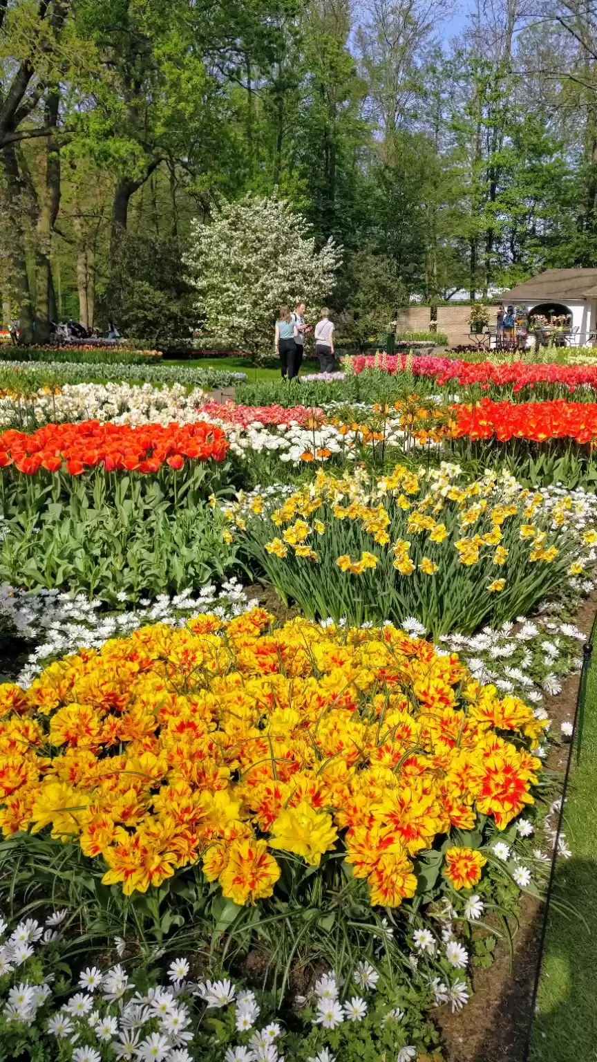 Photo of A day at the spectac