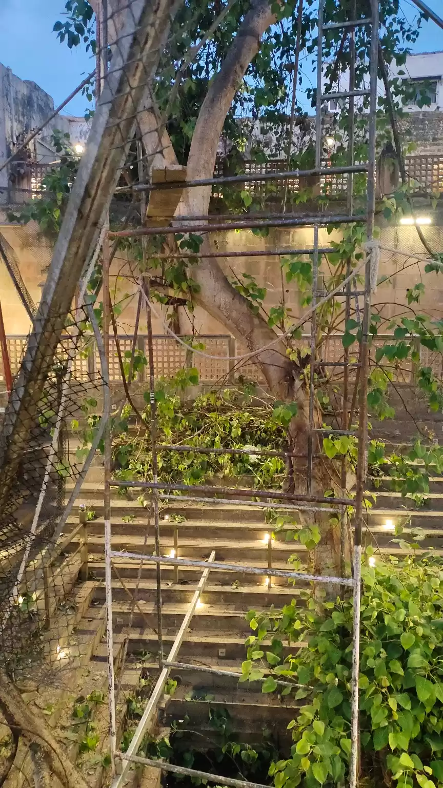 Photo of દ્વારકા - પવિત્ર કૃ