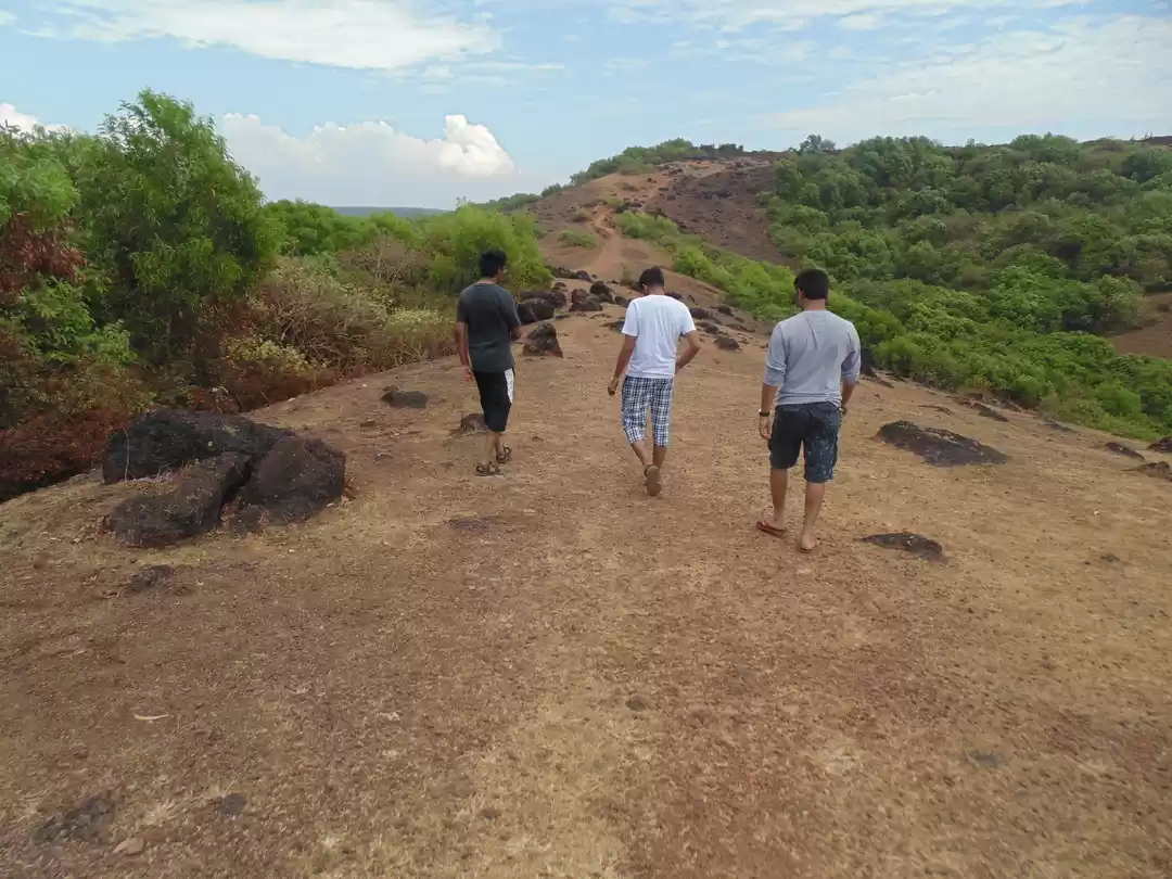 Photo of What Goa has to offe