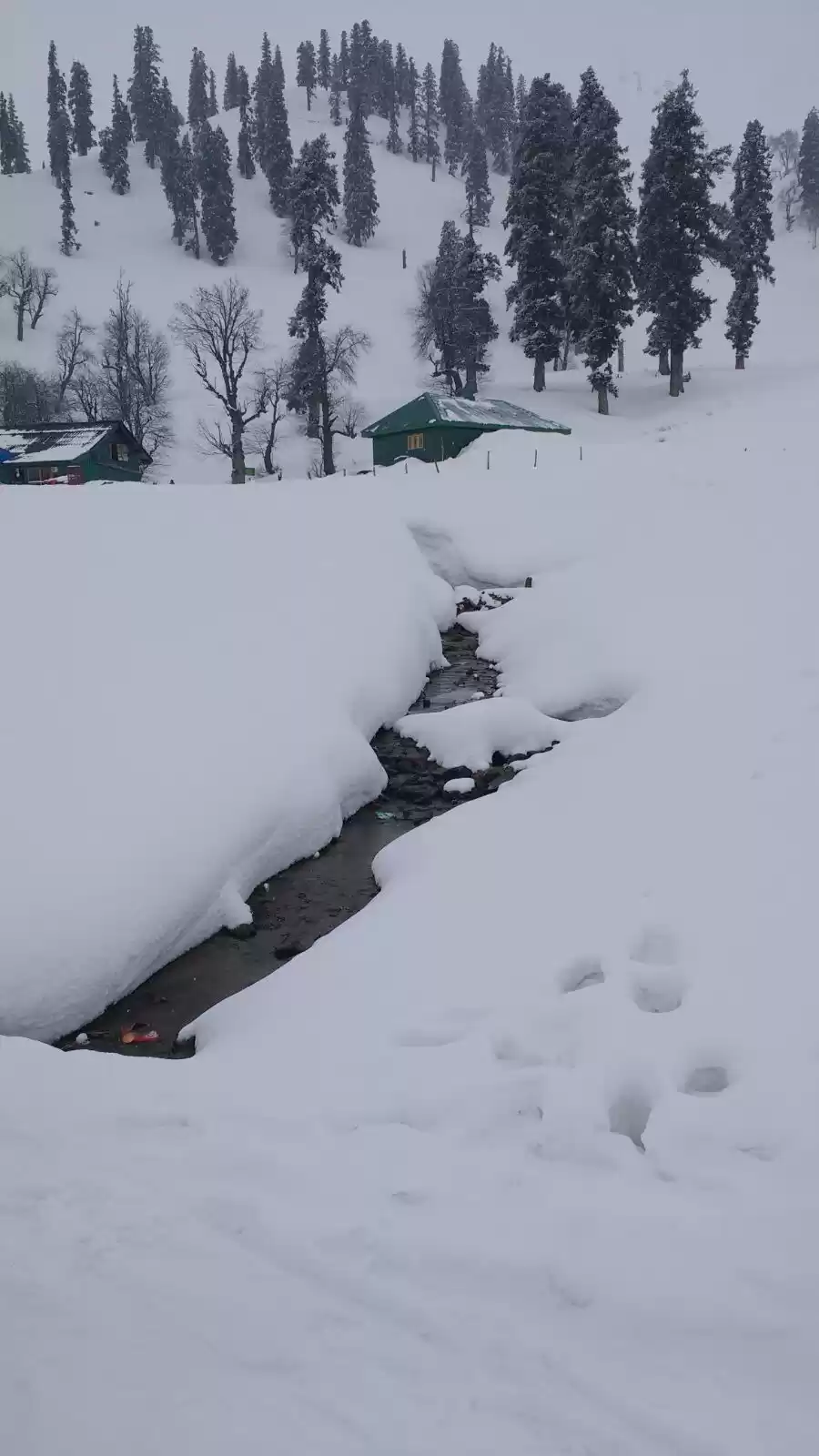 Photo of Gulmarg: Trip to Hea