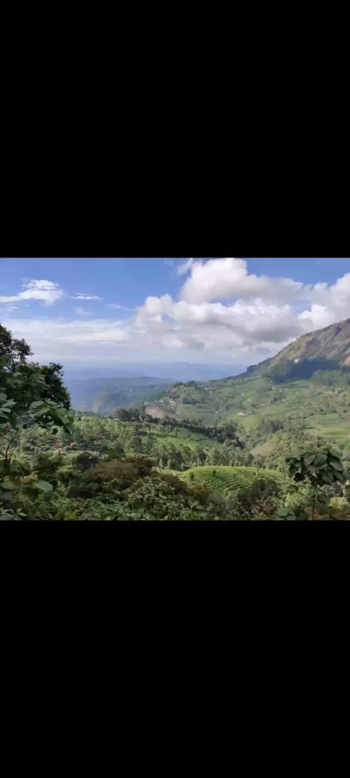 Photo of Kerala Trip photos w