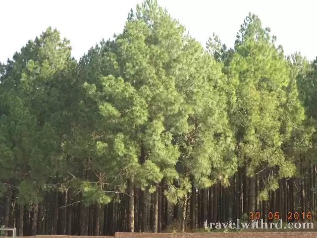 Photo of नेतरहाट: छोटानागपुर