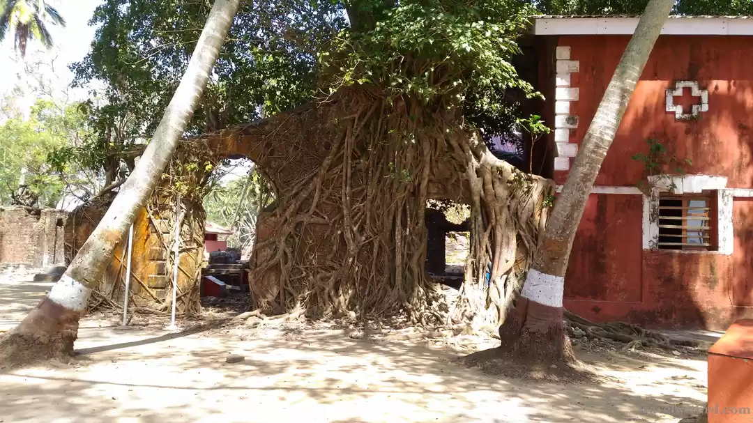 Photo of Ross Island- Occupie