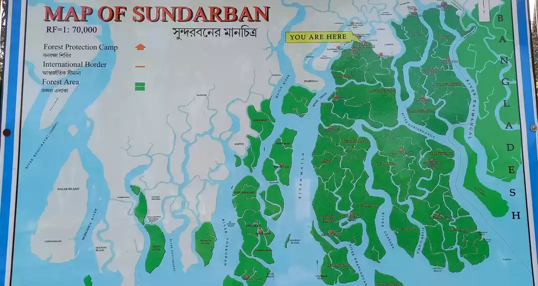 Photo of Sundarban-the larges