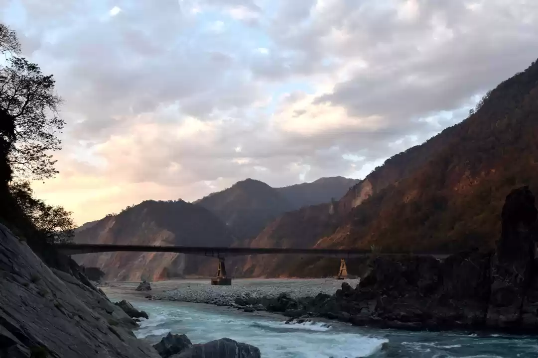 Photo of Maruti 800 diaries: 