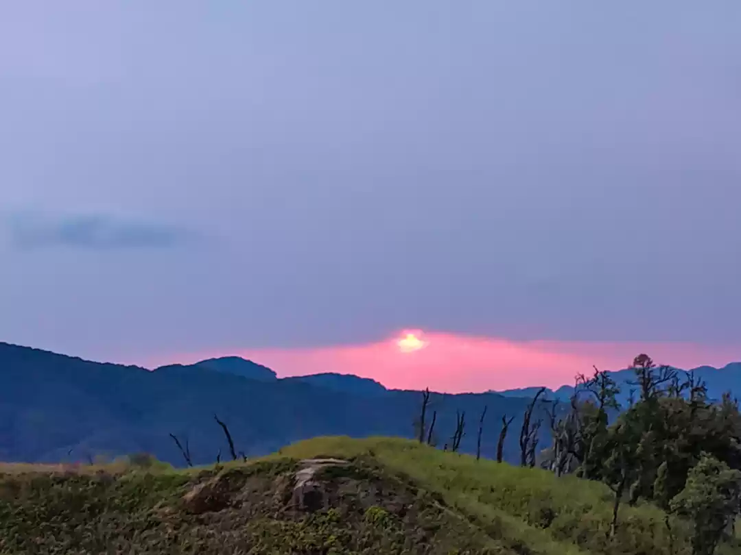 Photo of To the greener pastu