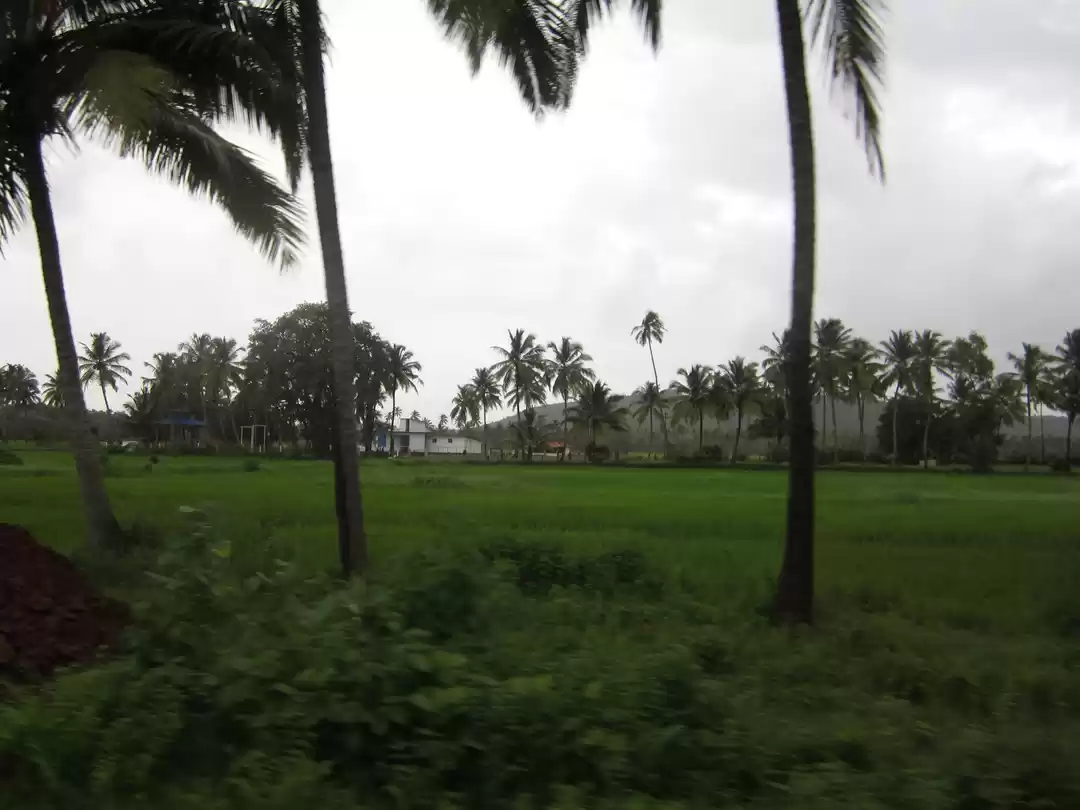 Photo of 48 hours, South Goa 