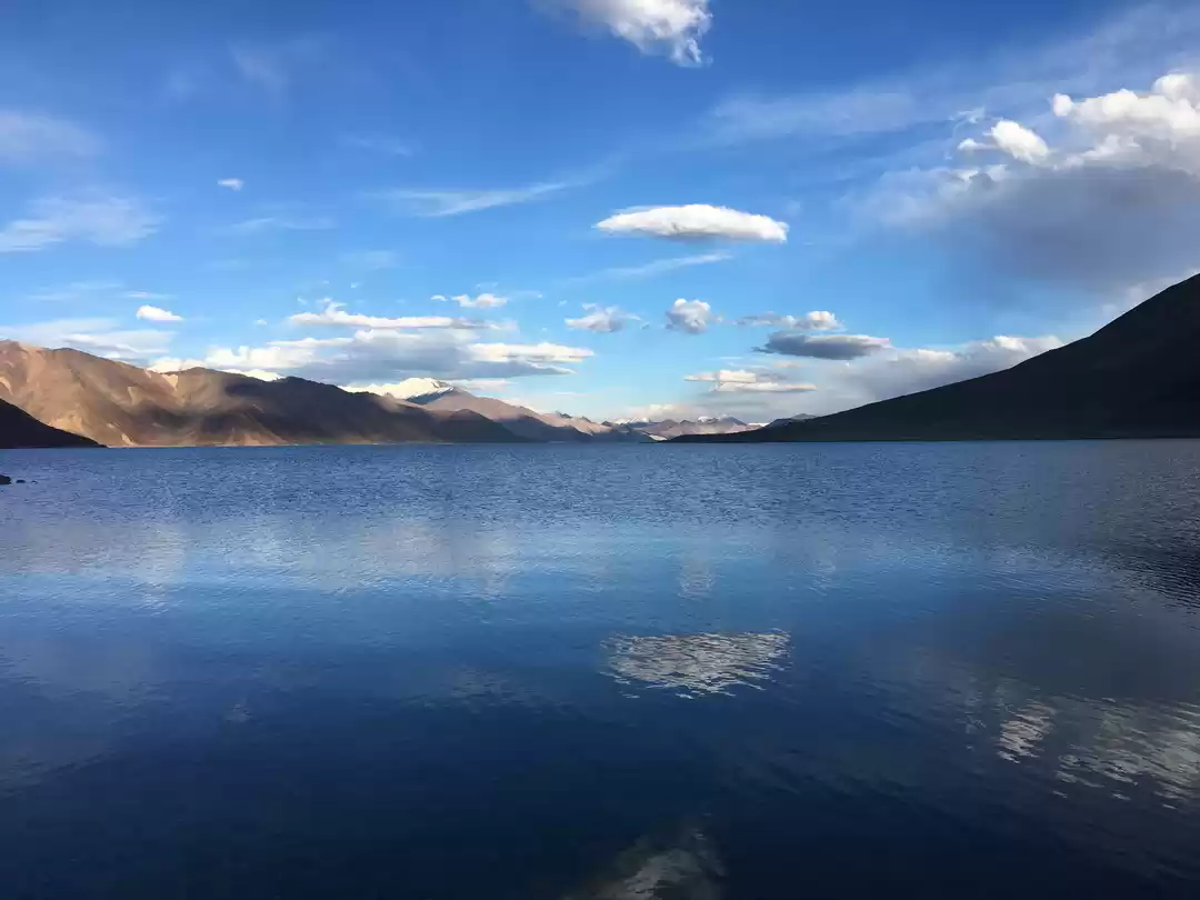 Photo of 50 Shades Of Blue!! 