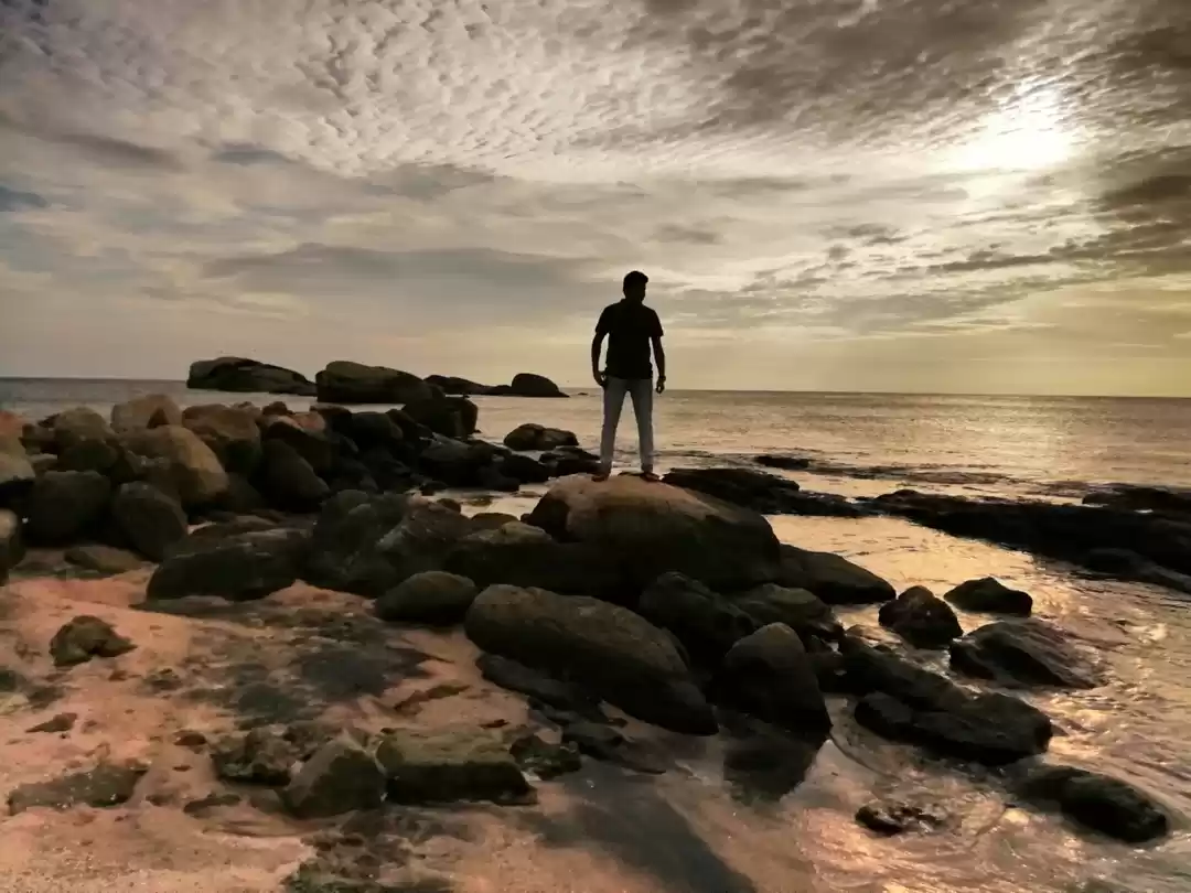 Photo of A Southern Sojurn: F