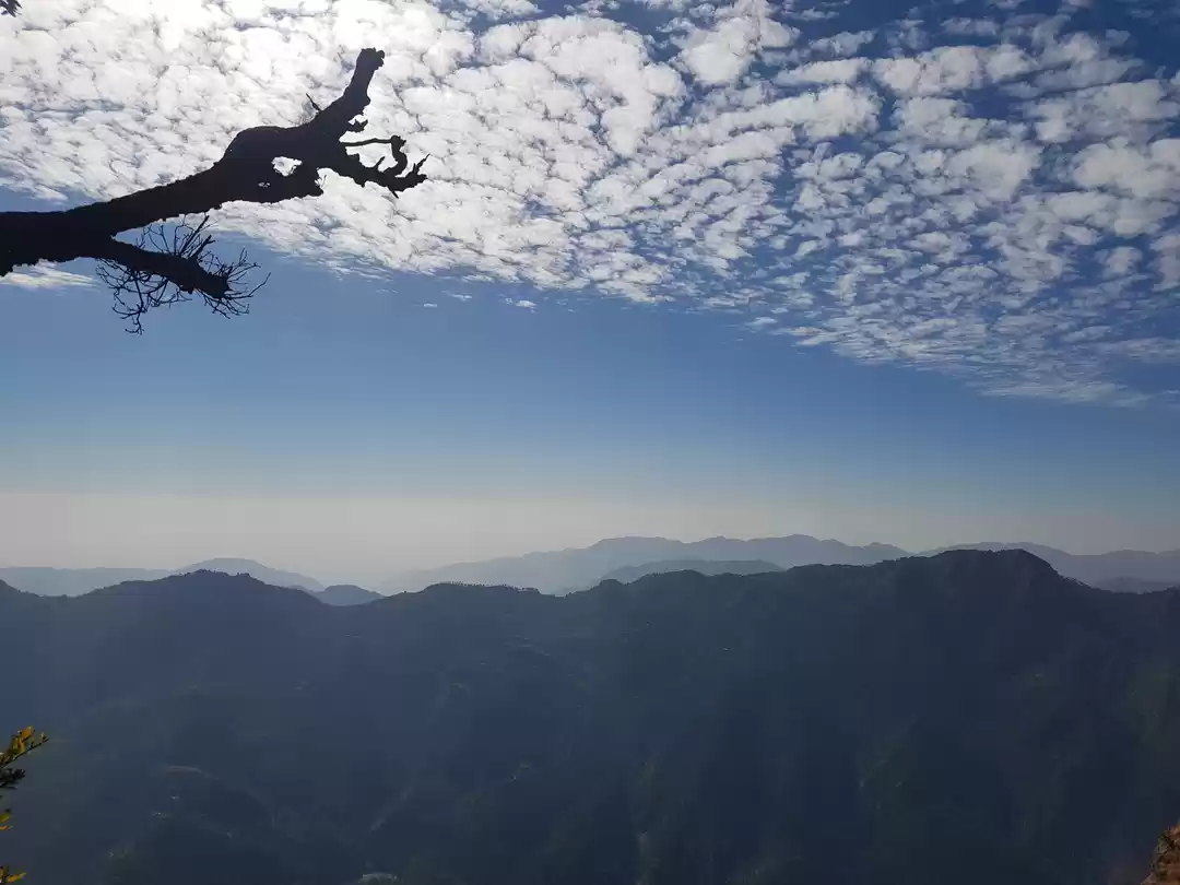 Photo of Our 'Dera' in the wi