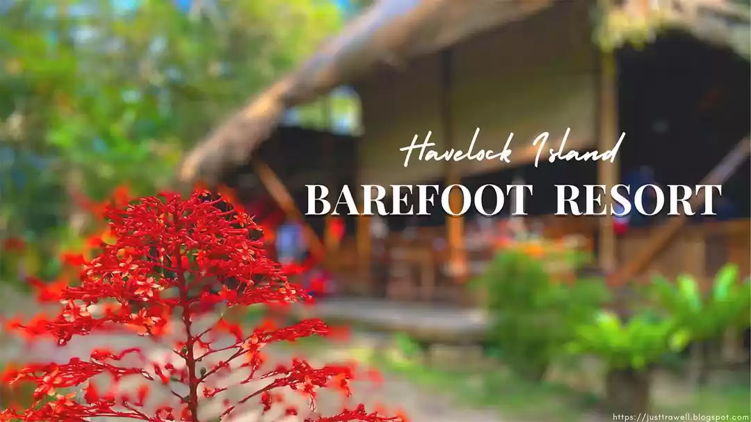 Photo of A Tropical Paradise 