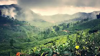 Photo of Valparai : A green h