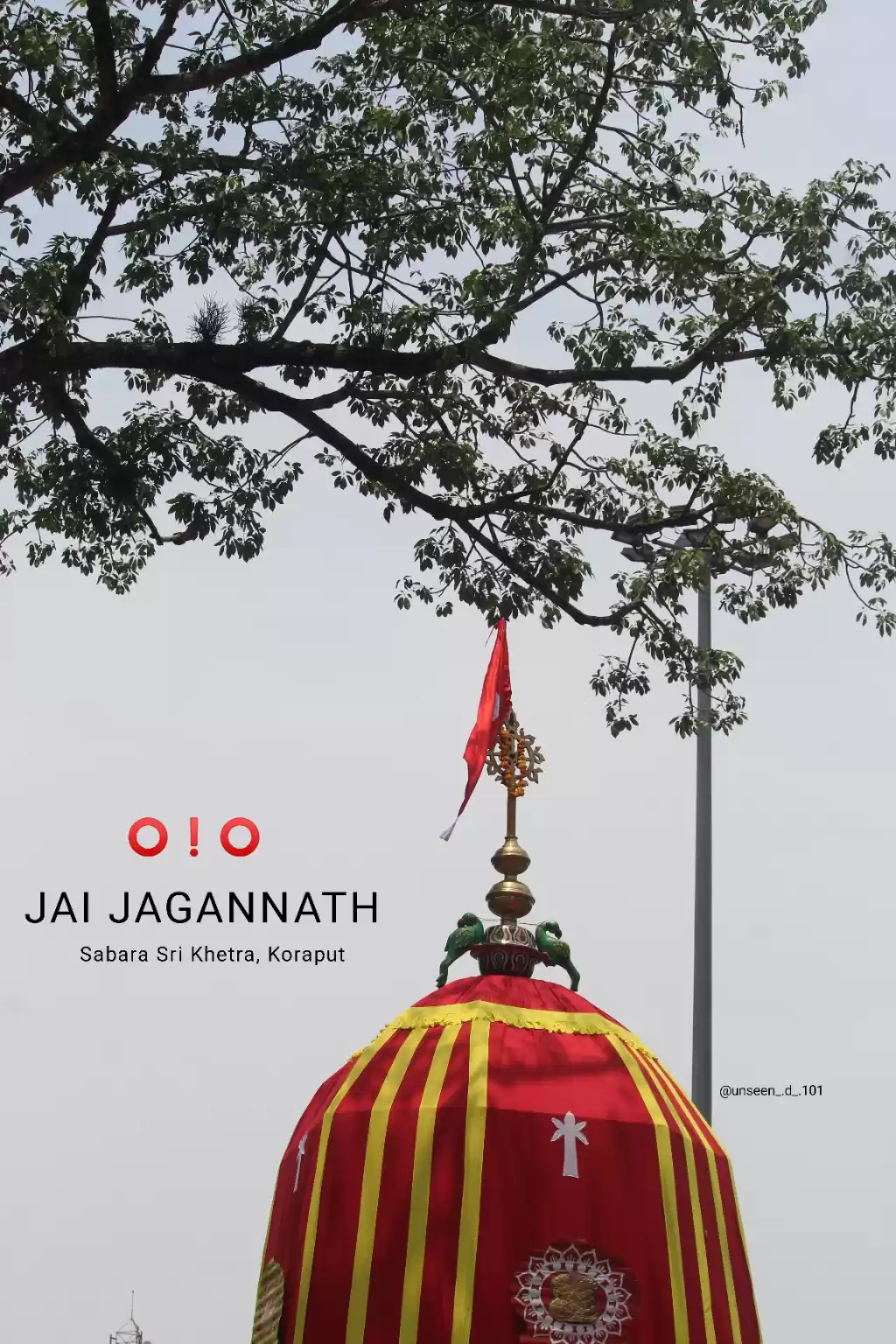 Photo of RathaYatra at Sabara