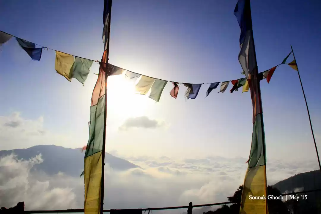 Photo of Barsey: An Earthly E