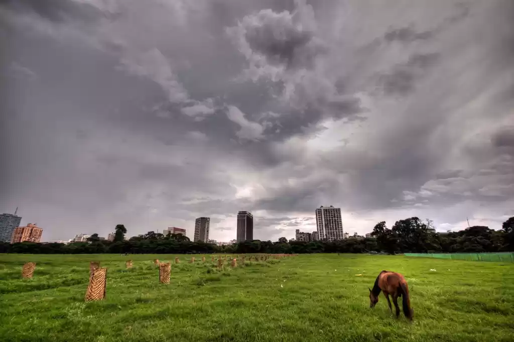 Photo of Calcutta: A Melodiou