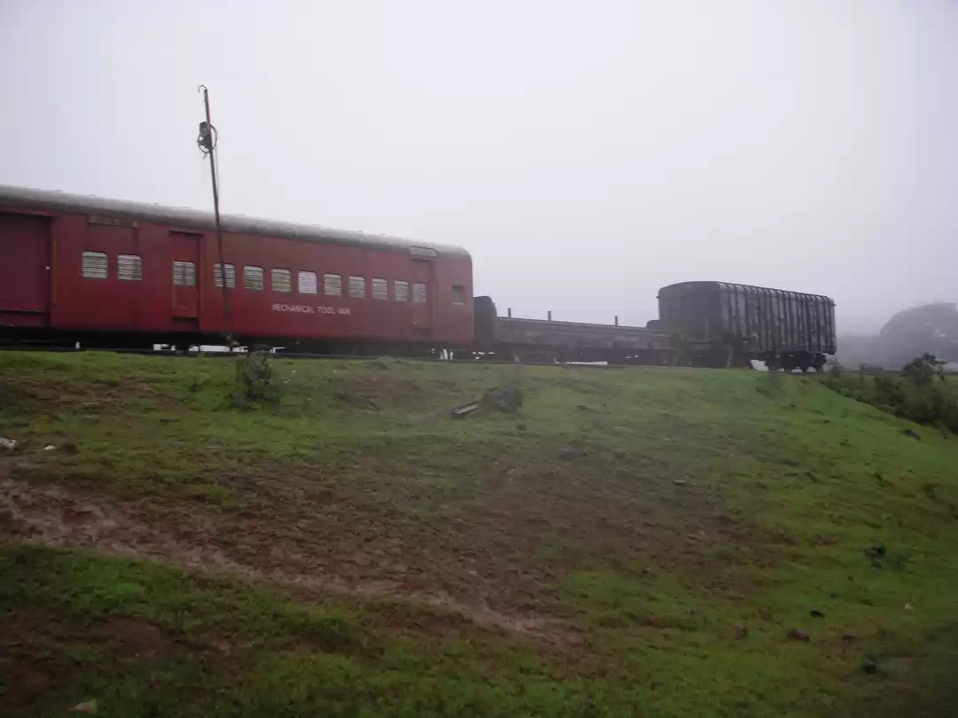 Photo of Milk Or Water? You