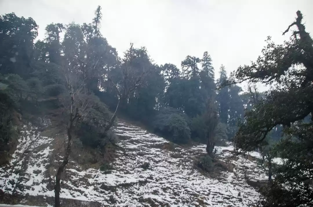 Photo of Chopta