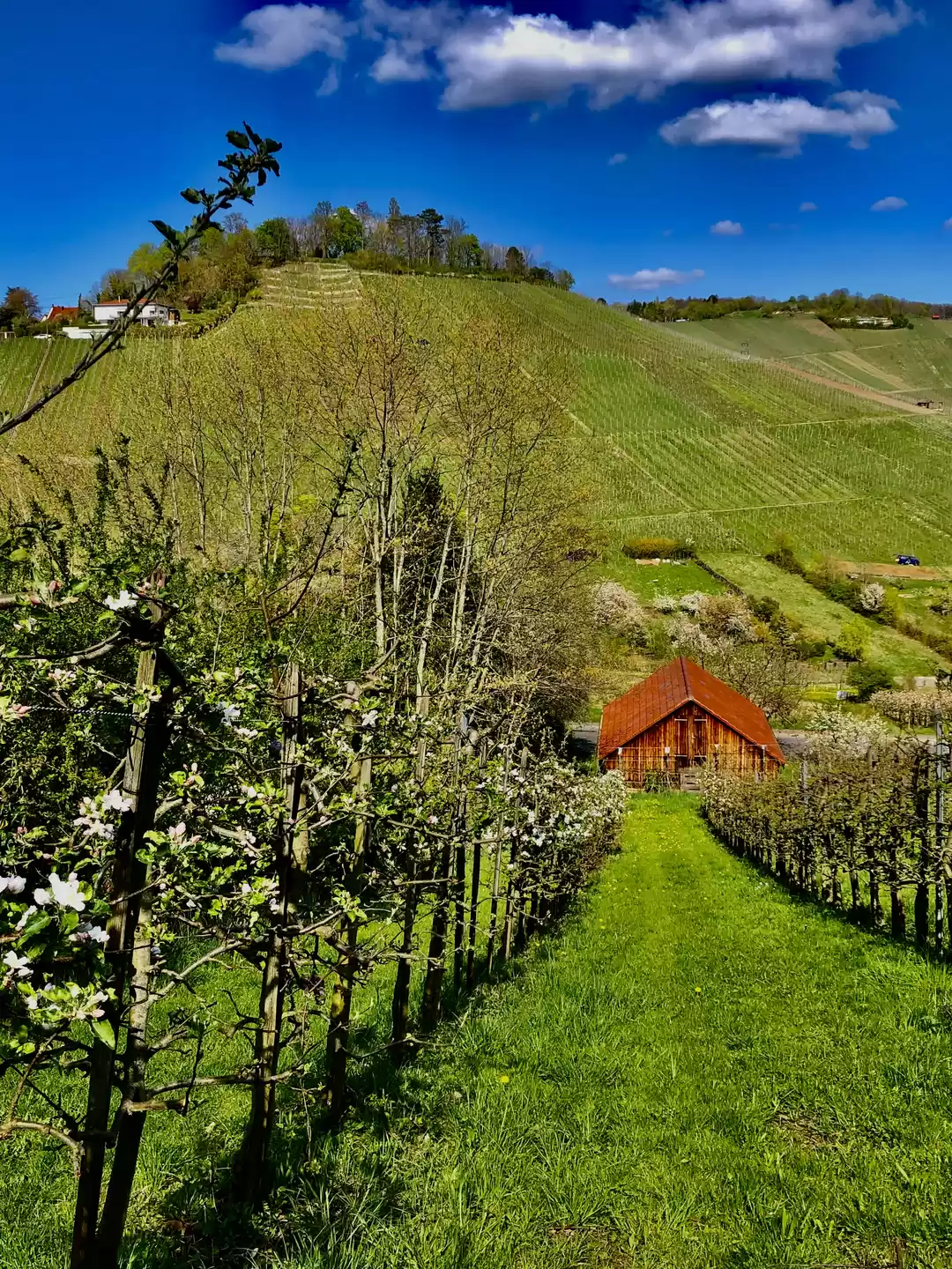 Photo of "Stuttgart, Germany: