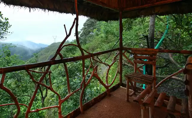 Photo of Fairytale Tree House