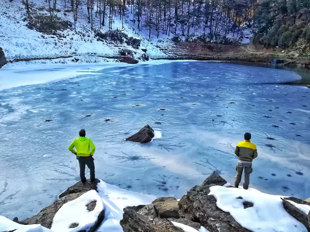 Photo of The Budhi Nagin of S