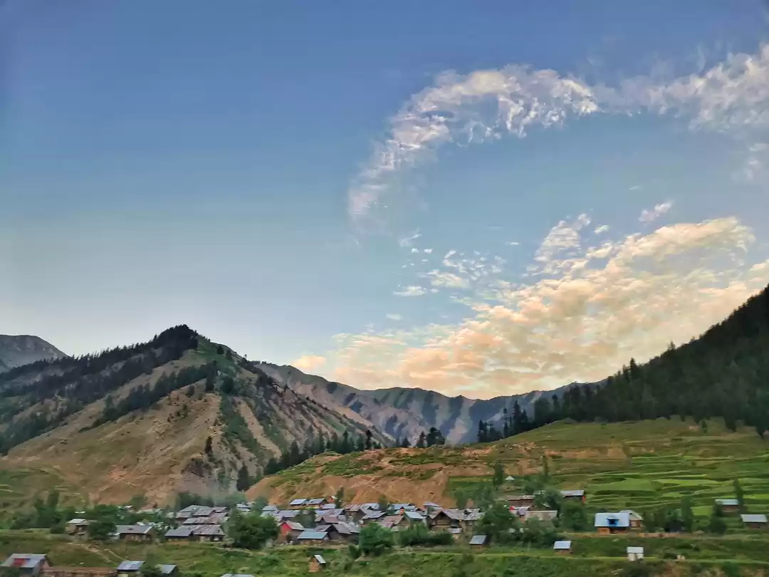 Photo of Read how a 7-year ol