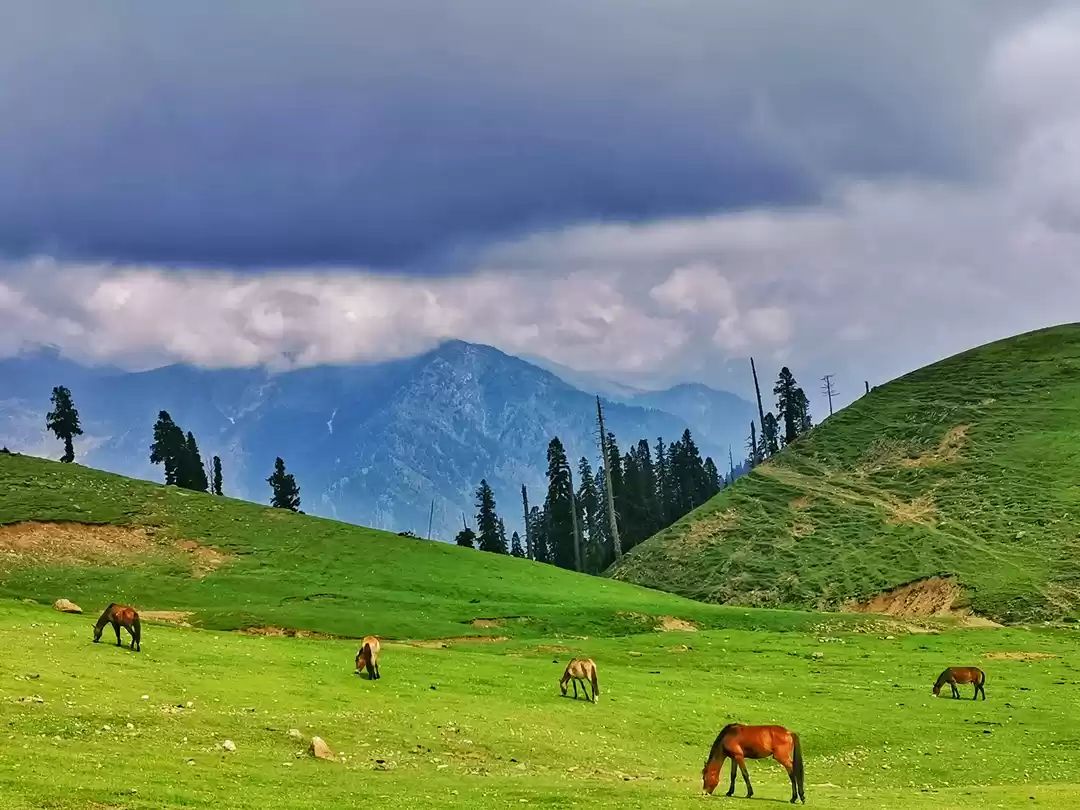 Photo of कश्मीर - गर जन्नत है