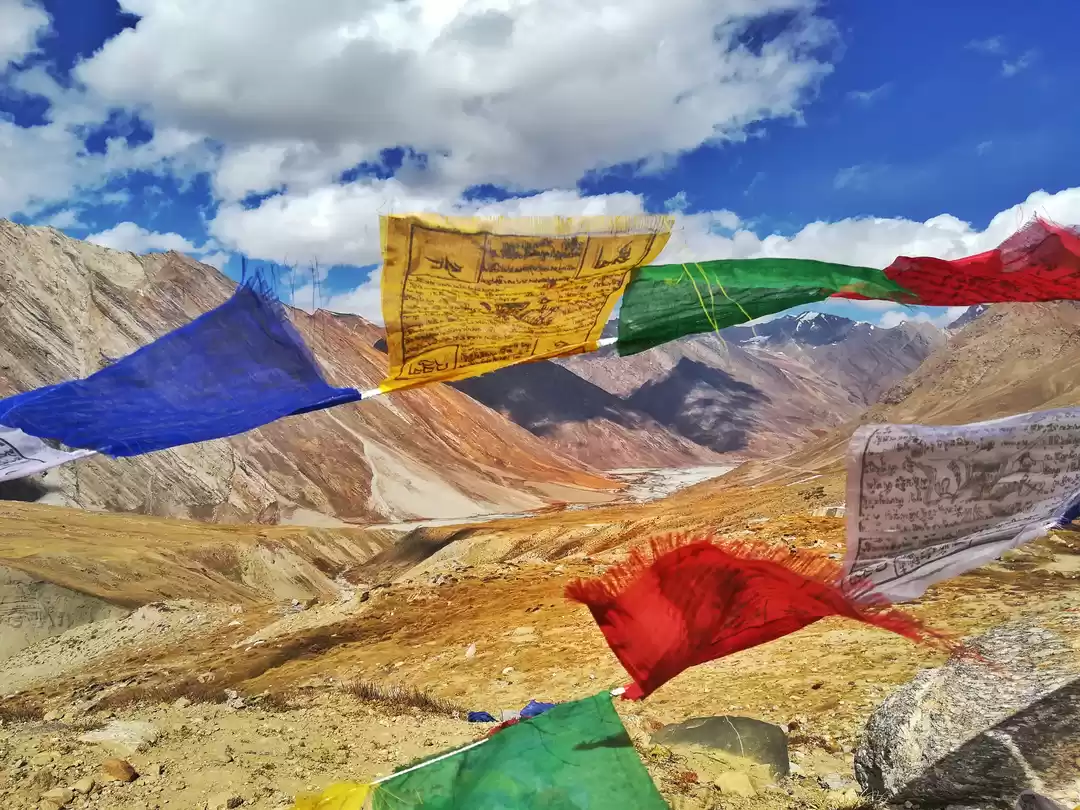 Photo of We've All Seen the P