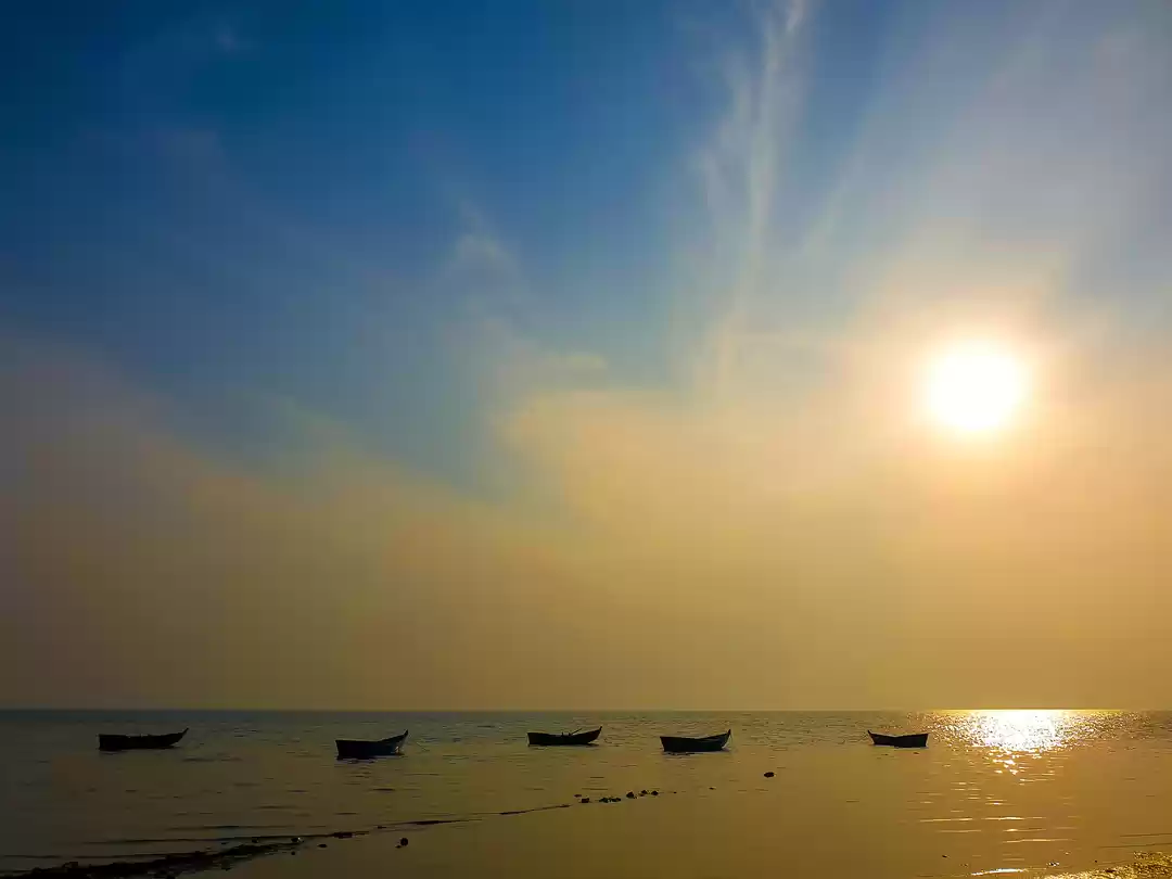 Photo of Bet You Didn't Know 