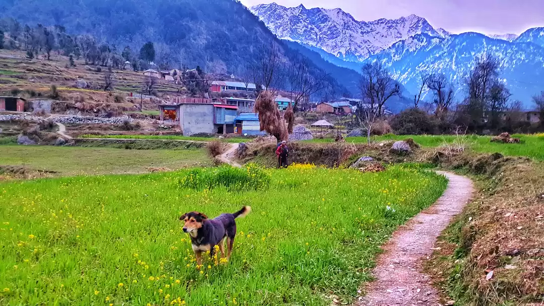 Photo of 7 reasons to go visi