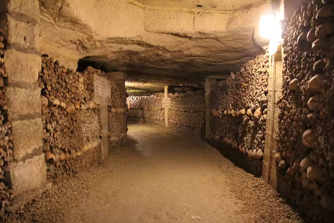 Photo of Beneath the Beautifu