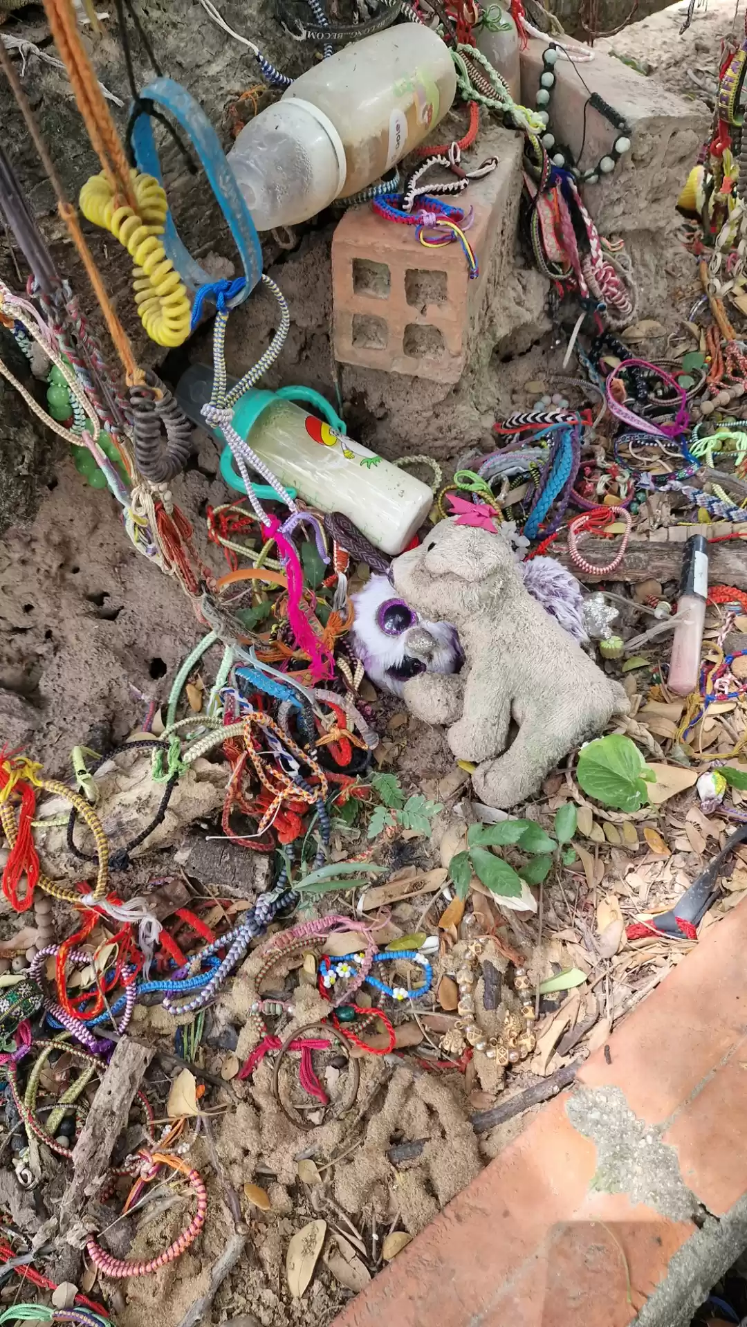 Photo of Killing fields 