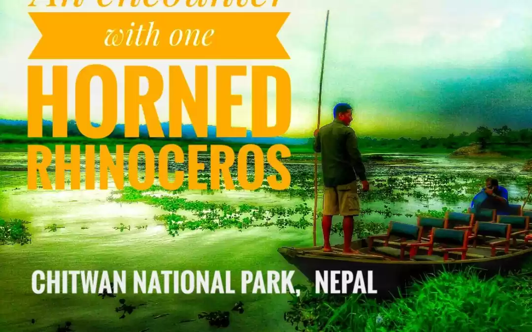 Photo of An encounter with an