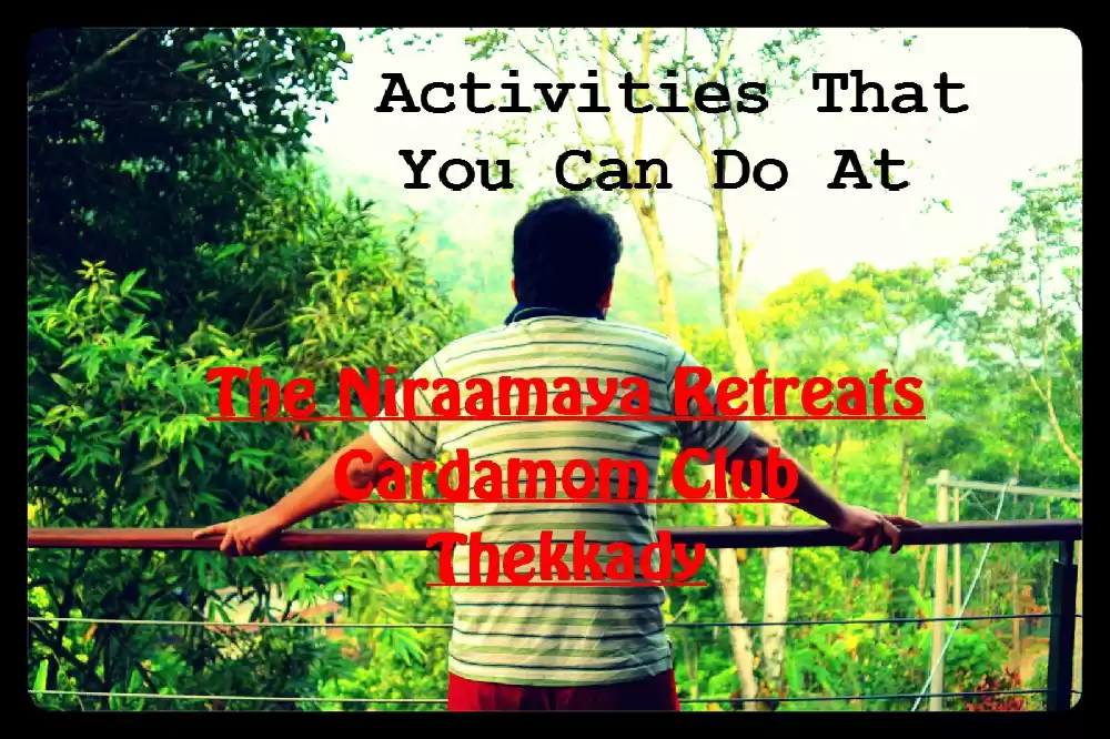 Photo of Activities that you 