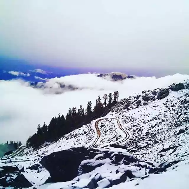 Photo of Snowfall in Shimla: 