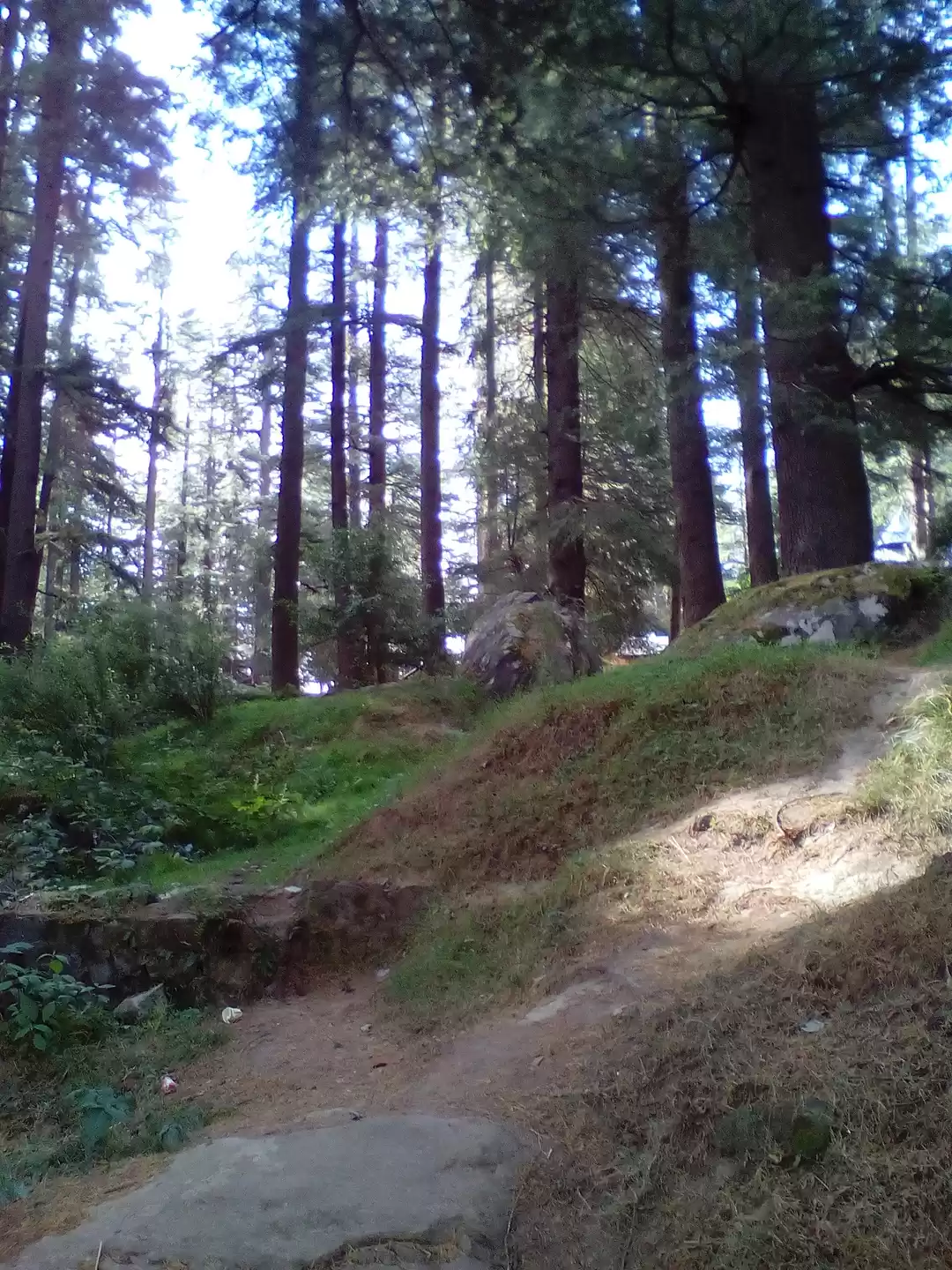 Photo of On My Own Path...a s
